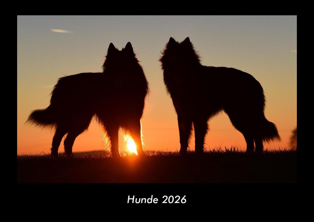 Hunde 2026 Fotokalender - Querformat DIN A3, Monatskalender mit Bild-Motiven von Haustieren, Bauernhof, wilden Tieren und Raubtieren