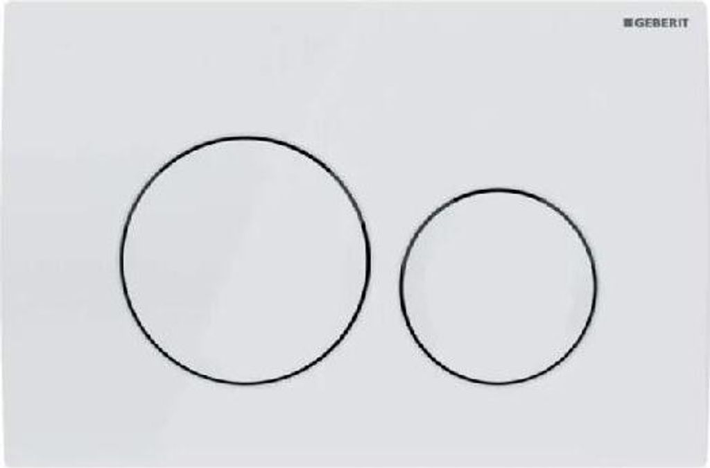 A white flush plate with two circular buttons for a toilet.