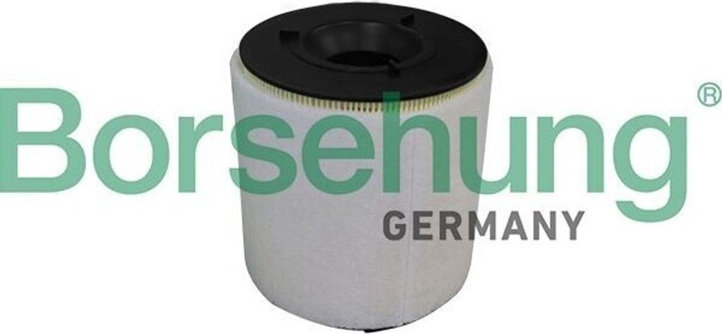 Luftfilter Borsehung B10539 für VW Polo Schrägheck (6R1, 6C1) Filtereinsatz
