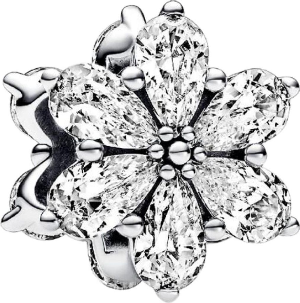 Ciondolo Pandora Sparkling Herbarium Cluster 792623C01 Immagine del prodotto 