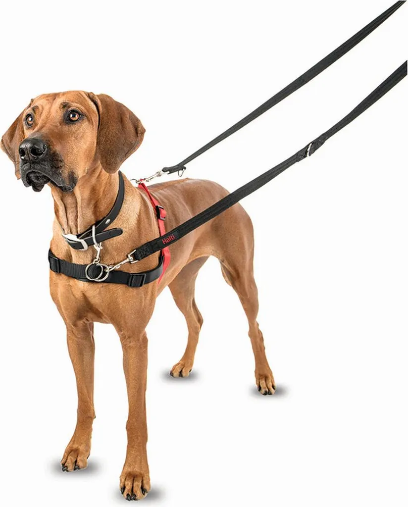 Halti Pettorina Cani M (58-86cm) Nero/Rosso | Controllo Dolce Anti-Tiro - 5
