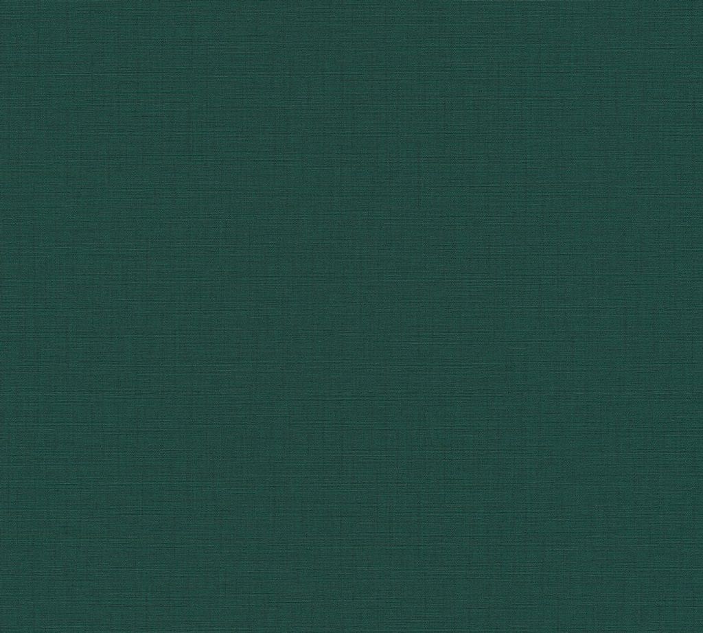 A plain, textured green background.