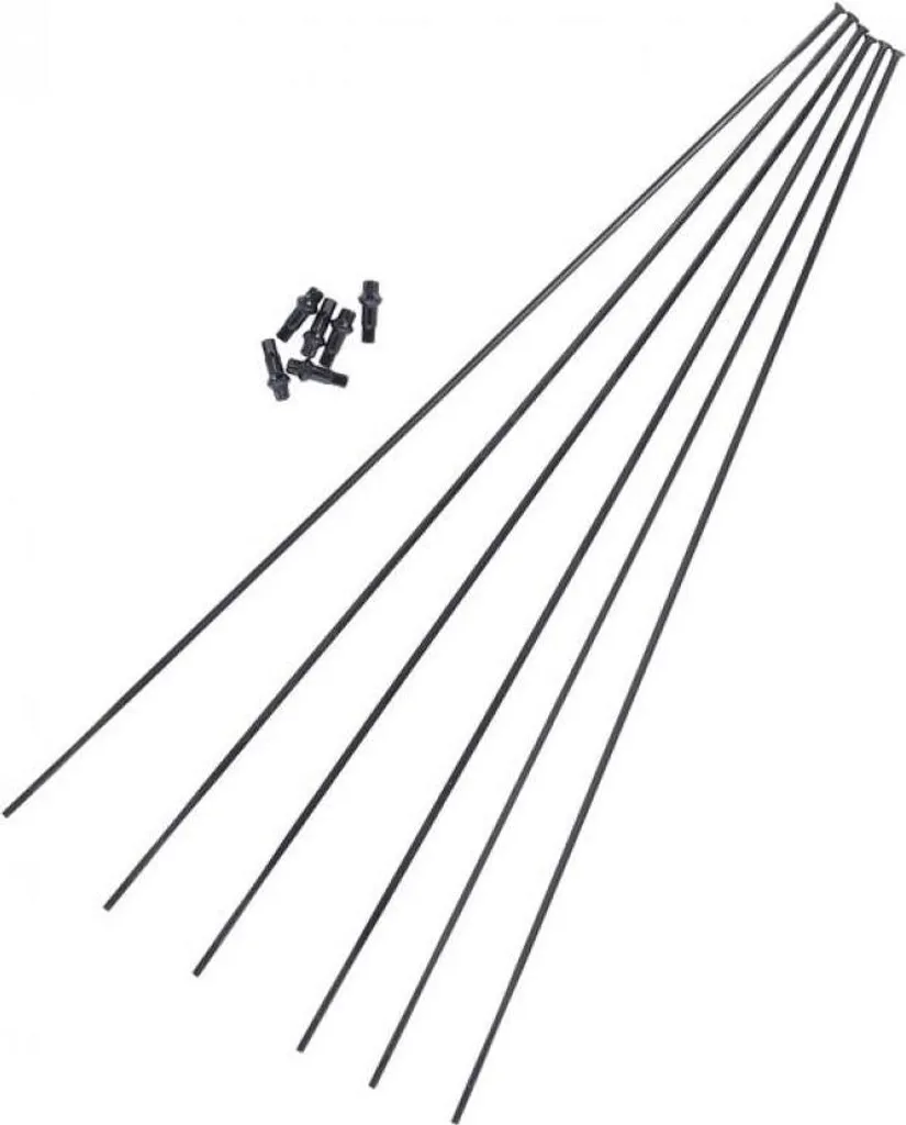 Kit rayons DT Swiss pour entretien roue EXC1200 Spline 29 pouces noir