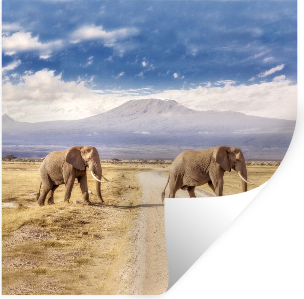 MuchoWow Wandtattoo Wandsticker Wandaufkleber Elefant - Wolke - Safari 50x50 cm Selbstklebend und Repositionierbar - Selbstklebend - Fototapeten