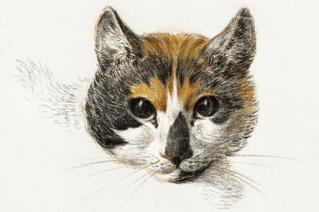 Plakat 60x40cm Katze Trikolor, Jean Bernard Vintage für das Wohnzimmer