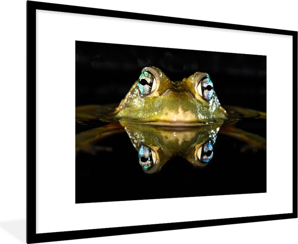 MuchoWow Gerahmtes Poster Frosch - Augen - Porträt 90x60 cm - Poster mit Schwarzem Bilderrahmen Wandposter Rahmen Foto Bilder - Wanddekoration -...
