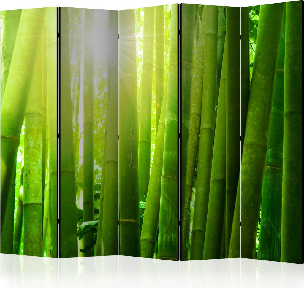 Deko Paravent Raumteiler Trennwand Spanische Wand Sichtschutz p-C-0022-z-c