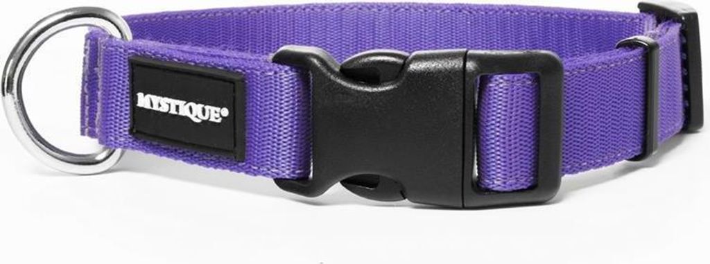 Mystique Nylon Halsband Profi 25mm lila 55-65cm