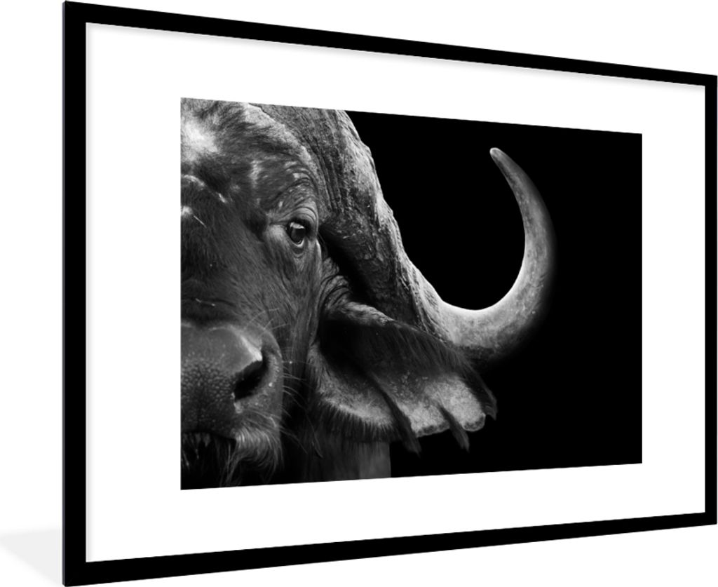 MuchoWow® Gerahmtes Poster Büffel - Tiere - Schwarz - Weiß Produktbild 