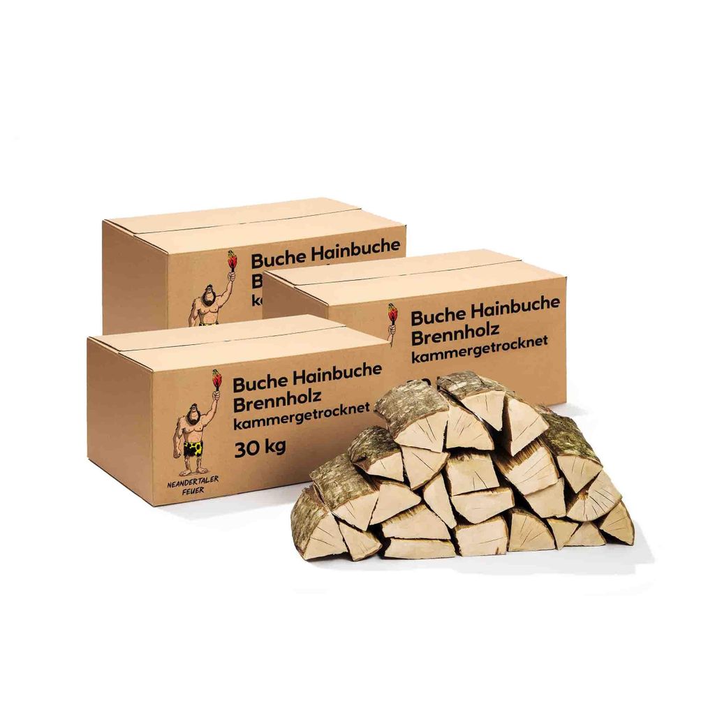 Neandertaler Feuer Brennholz Buche Kaminholz - Buchenholz Grillholz 25 cm 90 kg | Hartholz Feuerholz | Holz für Grill Kamin Smoker Ofen | Firewood