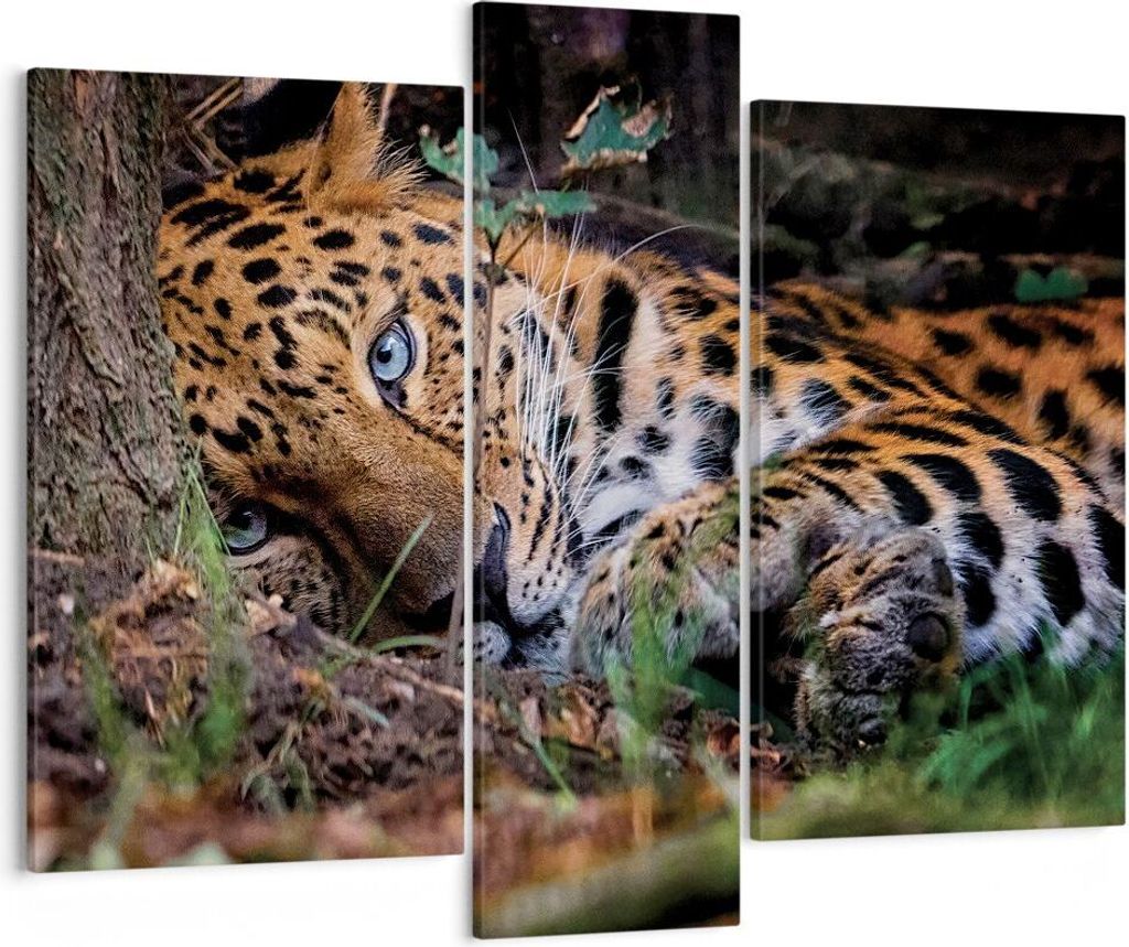 Bild auf Leinwand - Leinwandbild - 3 Teile - Leopard Porträt Jaguar - 95x80cm - Wand Bild - Wanddeko - Wandbilder - Leinwanddruck - Bilder - Wandd...