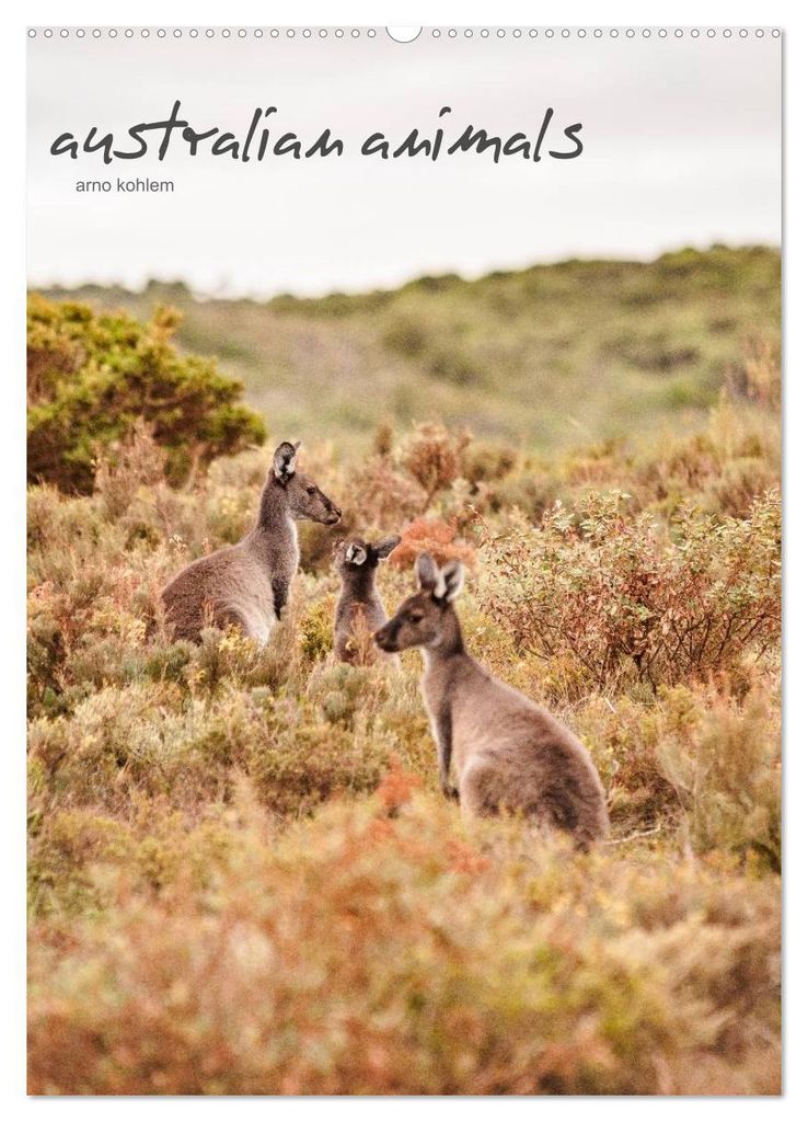 australian animals (Wandkalender 2027 DIN A2 hoch), CALVENDO Monatskalender