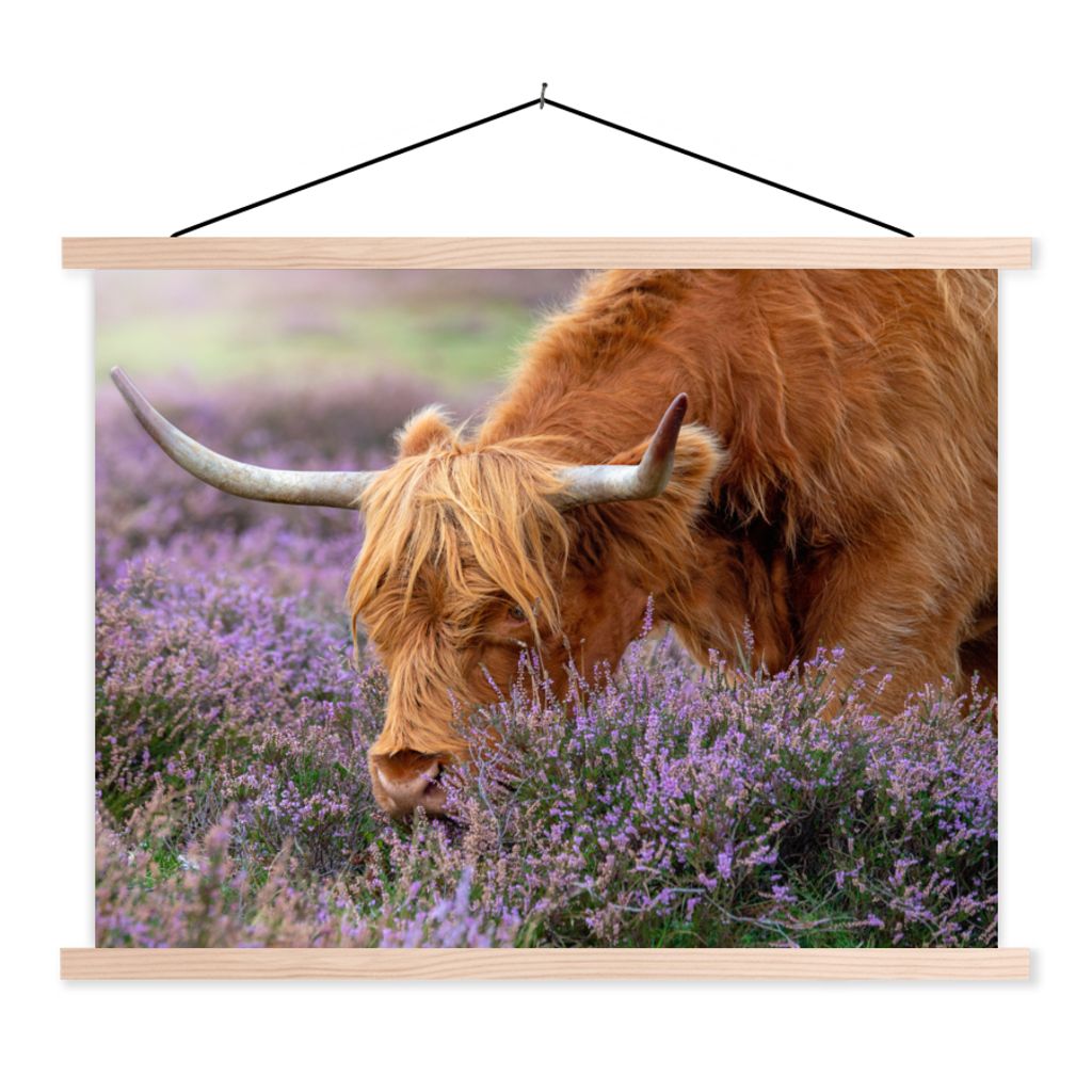 MuchoWow Textilposter Schottischer Highlander - Tiere - Heide 120x90 cm mit holzfarbenen Rahmen - Magnetisch