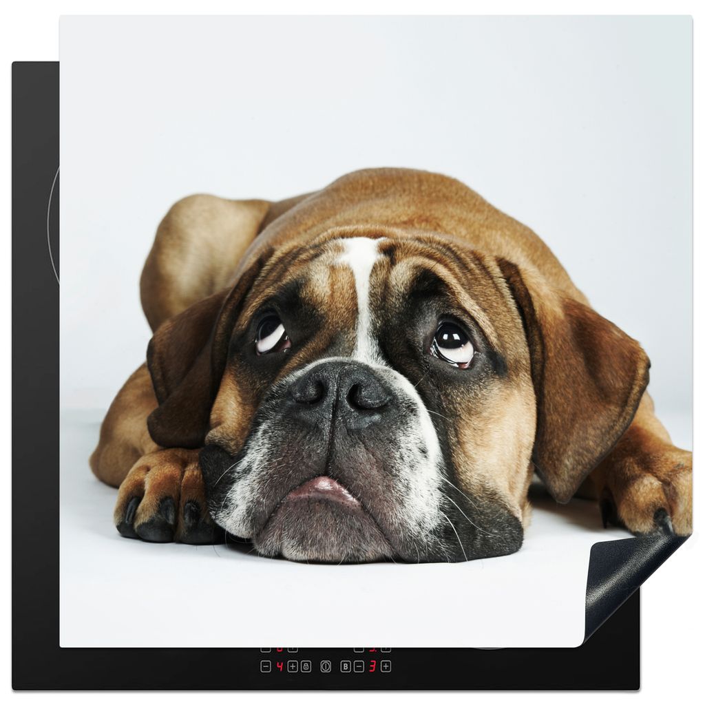 KitchenYeah Herdabdeckplatte Hund - Haustiere - Weiß , 78x78cm, Küche Deko, Glaskeramikkochfeld Herdabdeckung, Abdeckplatte fùr Kochfeld
