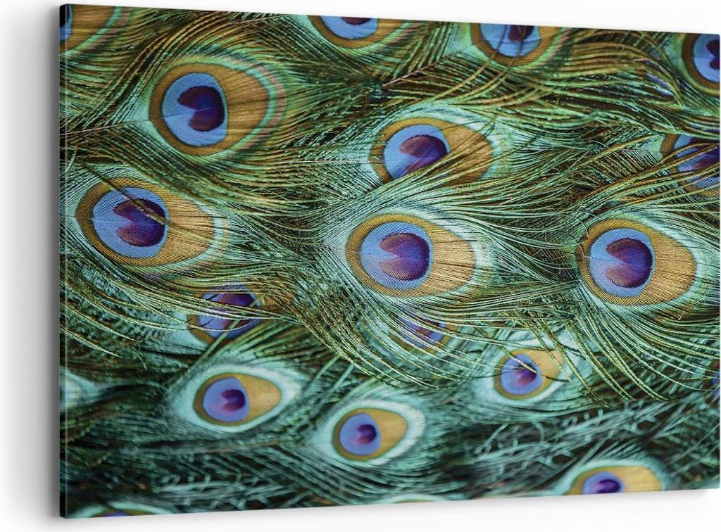 Bild auf Leinwand - Leinwandbild - Einteilig - Pfauen Feder Makro - 120x80cm - Wand Bild - Wanddeko - Wandbilder - Leinwanddruck - Bilder - Wanddek...