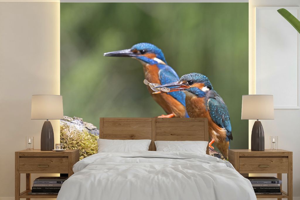 MuchoWow Fototapete für Wohnzimmer oder Schlafzimmer Wandtapete Vinyl Motivtapete Eisvogel - Fisch - Zweig - 350x350 cm - Schlafzimmertapete