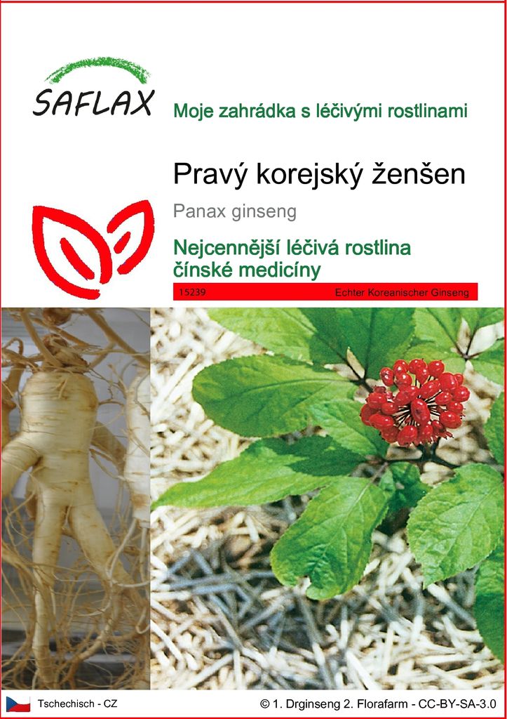 SAFLAX - Pravý korejský ženšen - Panax ginseng - 10 Semena Obrázek produktu 
