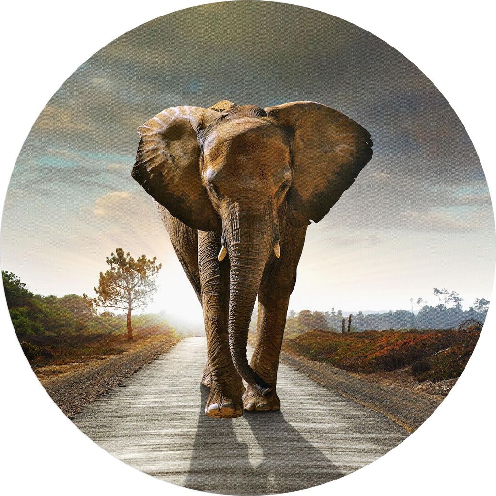 DEQORI Fototapete rund Ø 120 cm 'Elefant auf Asphalt' Wand Tapete Leinwand Sticker