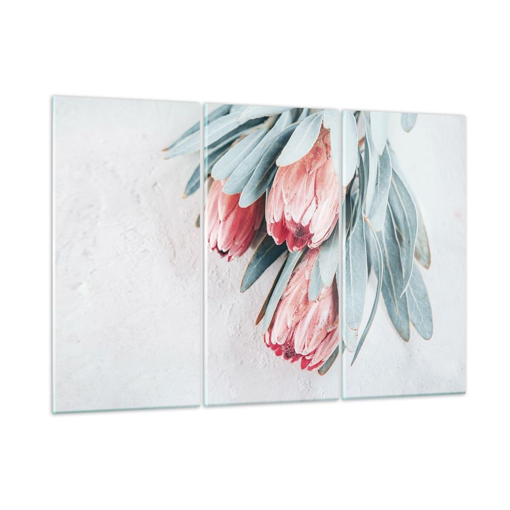 Bilder auf glas - 3 Teile - Blume Eukalyptus Australier - 165x110cm - Glasbilder - Wandbilder - Bilder - Wanddekoration aus Glas - Glas Bilder - Wa...