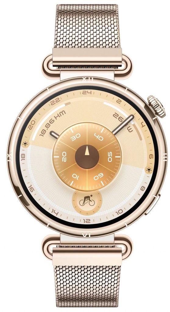 Huawei Watch GT6 Konsu-B19M Gold Milanese Strap Obrázok produktu 