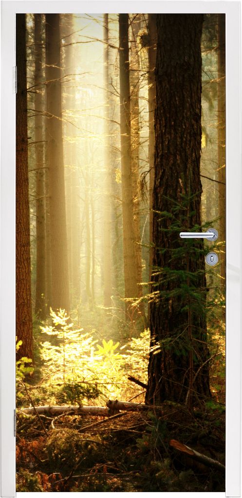 MuchoWow Türtapete Selbstklebende Türfolie Wald - Bäume - Sonne 85x205 cm Türposter Türaufkleber Klebefolie Türklebefolie - Türverzierung ...
