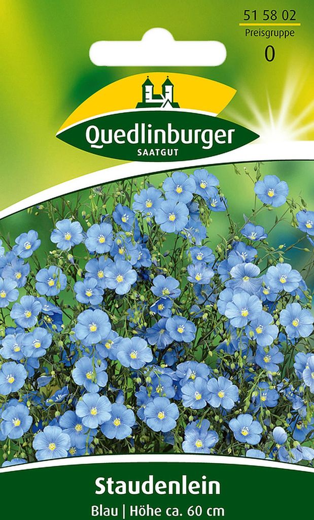 Quedlinburger Staudenlein Blau - Blumensamen Produktbild 