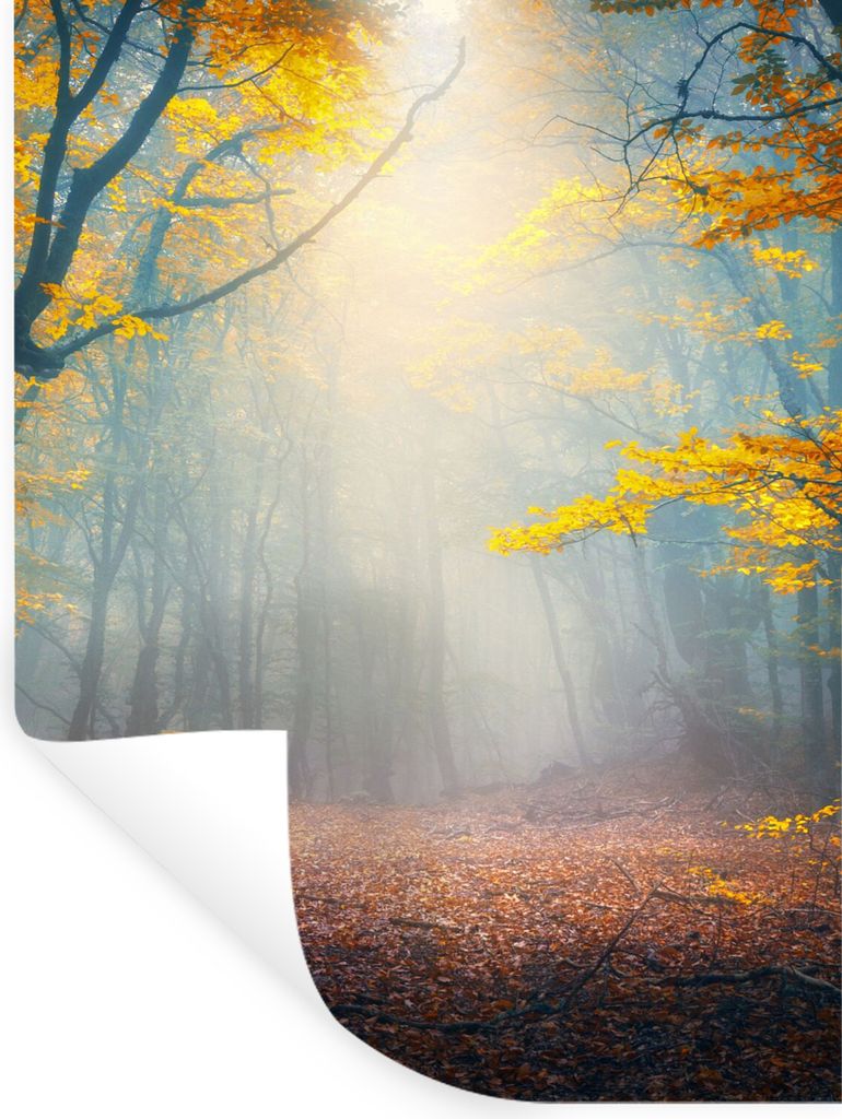 MuchoWow Wandtattoo Wandsticker Wandaufkleber Wald - Nebel - Herbst 60x80 cm Selbstklebend und Repositionierbar - Repositionierbar - Wasser abwei...