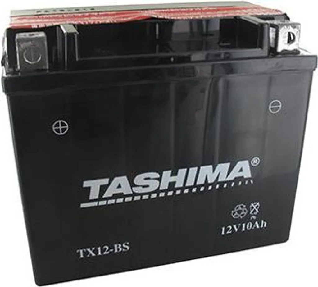Batterie Plomb 12V 10Ah Sans Entretien 150x87x130mm avec Borne + à Gauche