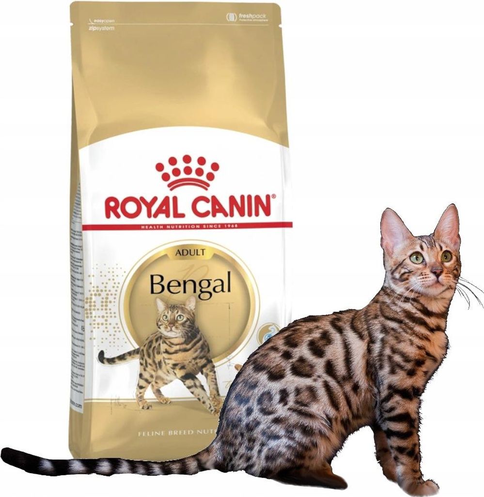 Royal Canin Bengal Adult, Dospelý, Bengálska mačka, Hydina, Obrázok produktu 