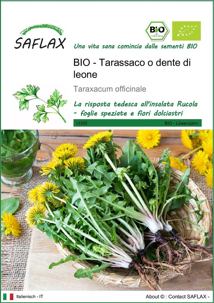 SAFLAX  -- Tarassaco o dente di leone - 400 semi - Immagine del prodotto 