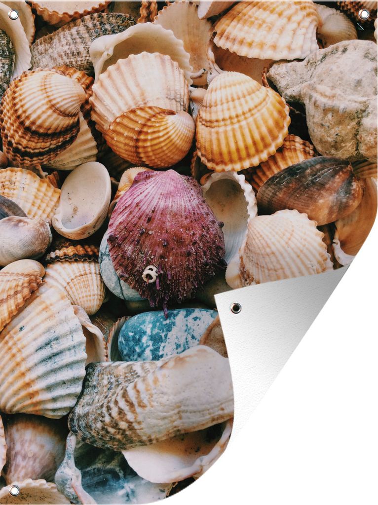 MuchoWow 30x40 cm Outdoor-Poster Gartendeko Sichtschutz Garten Poster für den Garten Muscheln - Strand - Griechenland