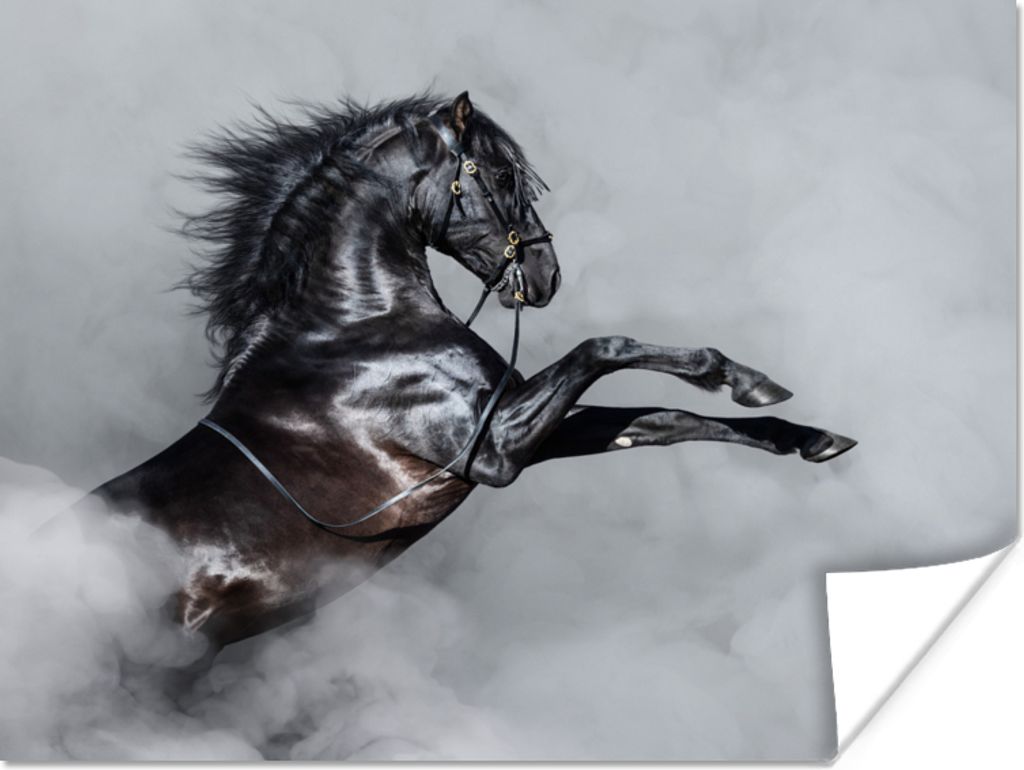 MuchoWow Poster Pferd - Smoke - Schwarz 160x120 cm - Foto Plakat