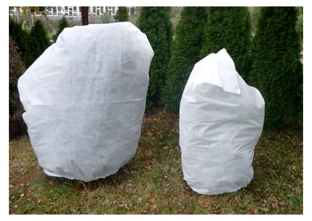 Schutzhaube aus Vlies 100cm x 155cm mit hoher UV-Stabilisierung für Pflanzen - Stärke 50g/m²