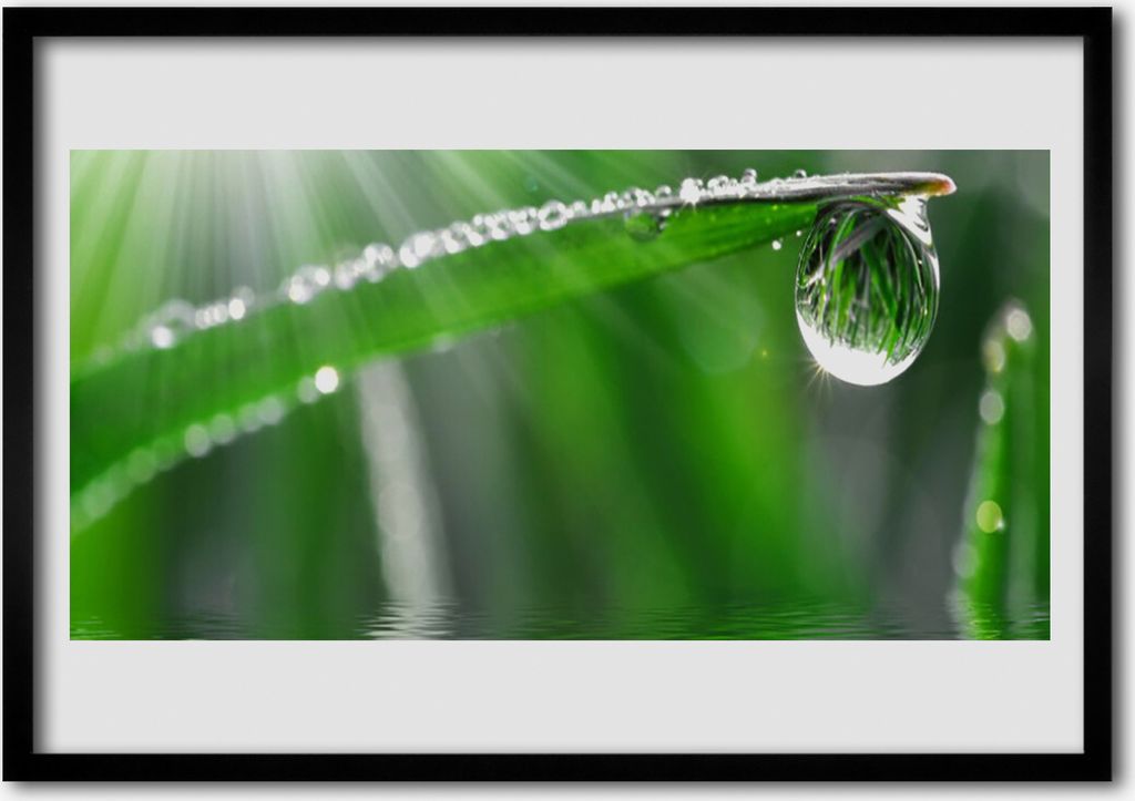 Bild 100x70 MDF-Rahmen Wandkunst Dew Drop Blatt Gras