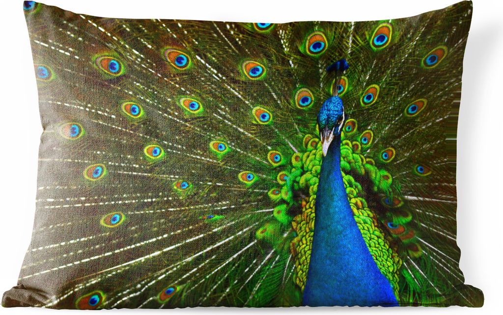 MuchoWow Outdoor Kissen - Pfau - Federn - Muster - Blau - 50x30 cm - Wetterfest - Lounge Kissen - Sofa kissen - Wohnzimmer Dekoration