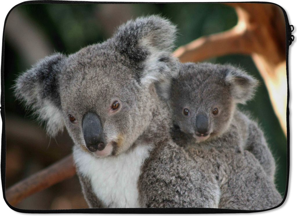 MuchoWow Laptop Hülle 14 ZollKoalas - Vater - Kind - Jungen - Mädchen Laptoptasche - Laptoptasche - Stoßsicher - Schutzhaube