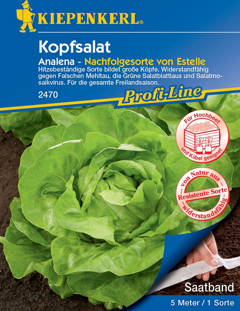 Kopfsalat Analena - Nachfolgesorte von Estelle - Saatband - für Hochbeet und Kübel geeignet