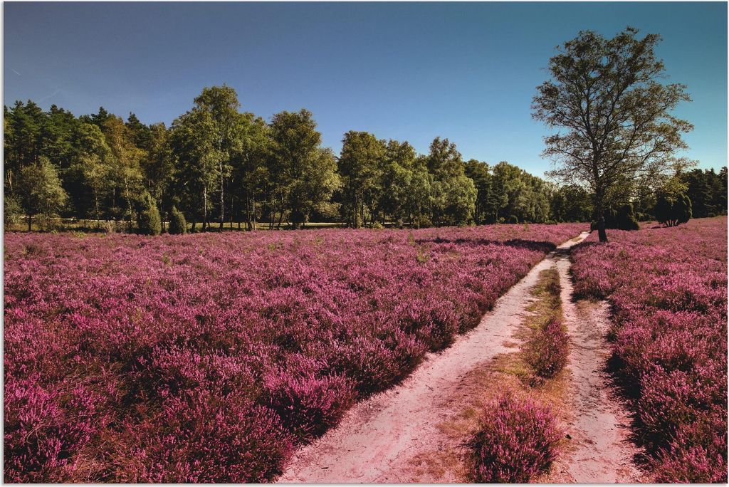 ARTland Wandbild Alu für Innen & Outdoor Lüneburger Heide Produktbild 