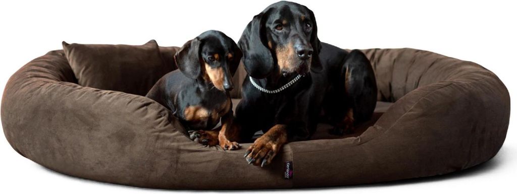 tierlando® Orthopädisches Hundebett Sammy VISCO | Produktbild 