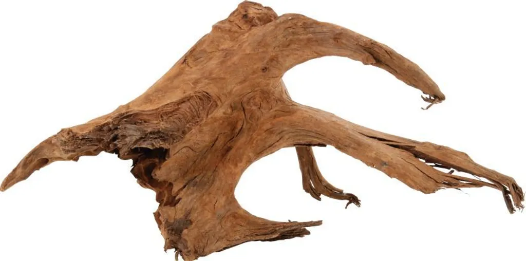 Zolux Mangrove Root Large | Radice Naturale 40/60cm per Aquascaping