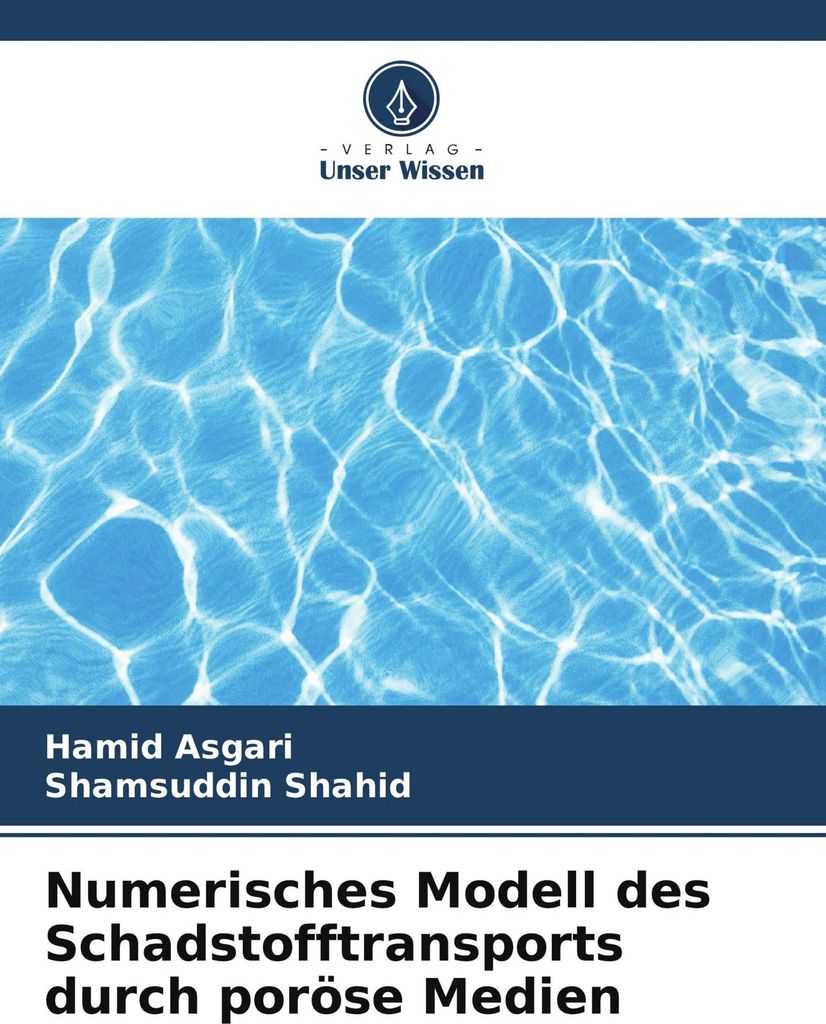 Numerisches Modell des Schadstofftransports durch poröse Medien