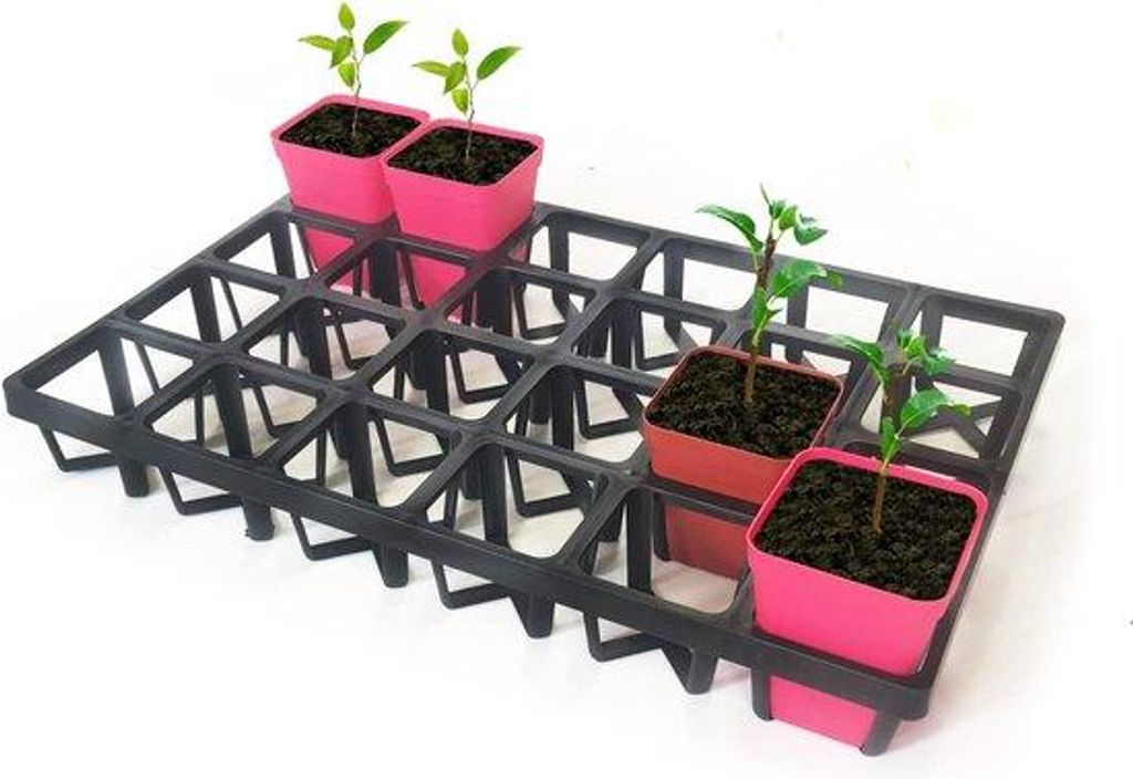 Kunststoff-Set mit 5 Trays für Pflanzentöpfe, 24 Zellen
