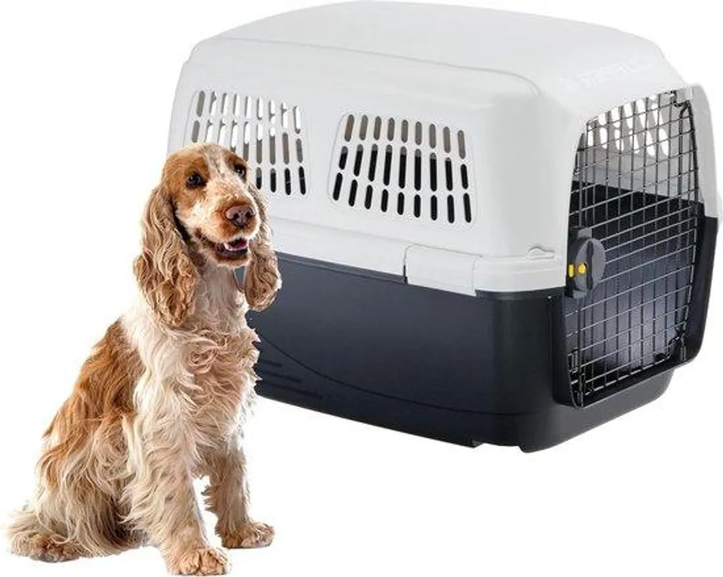 Caisse de transport pour chien moyen max 20kg homologuée voiture et train