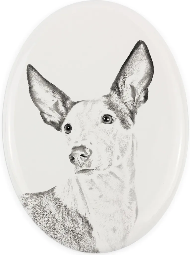 Art-Dog Targa Ricordo Cane Cacciatore di Ibiza - Lapide Ceramica