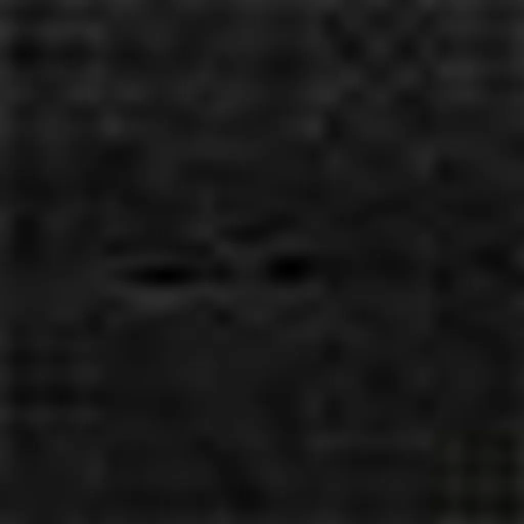 Cornice in legno Zoom 40x50 cm nero - 13