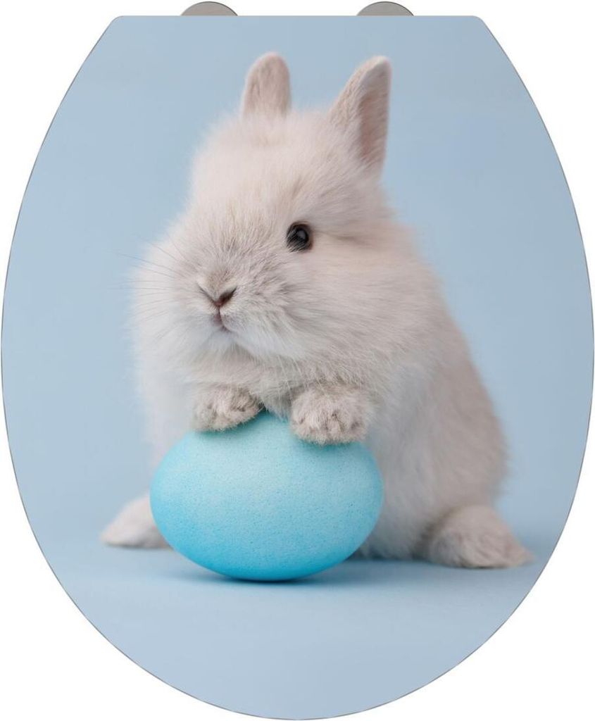Allibert BUNNY WC-Sitz Thermodur 38 x 6 x 43,5 cm Nachbildung