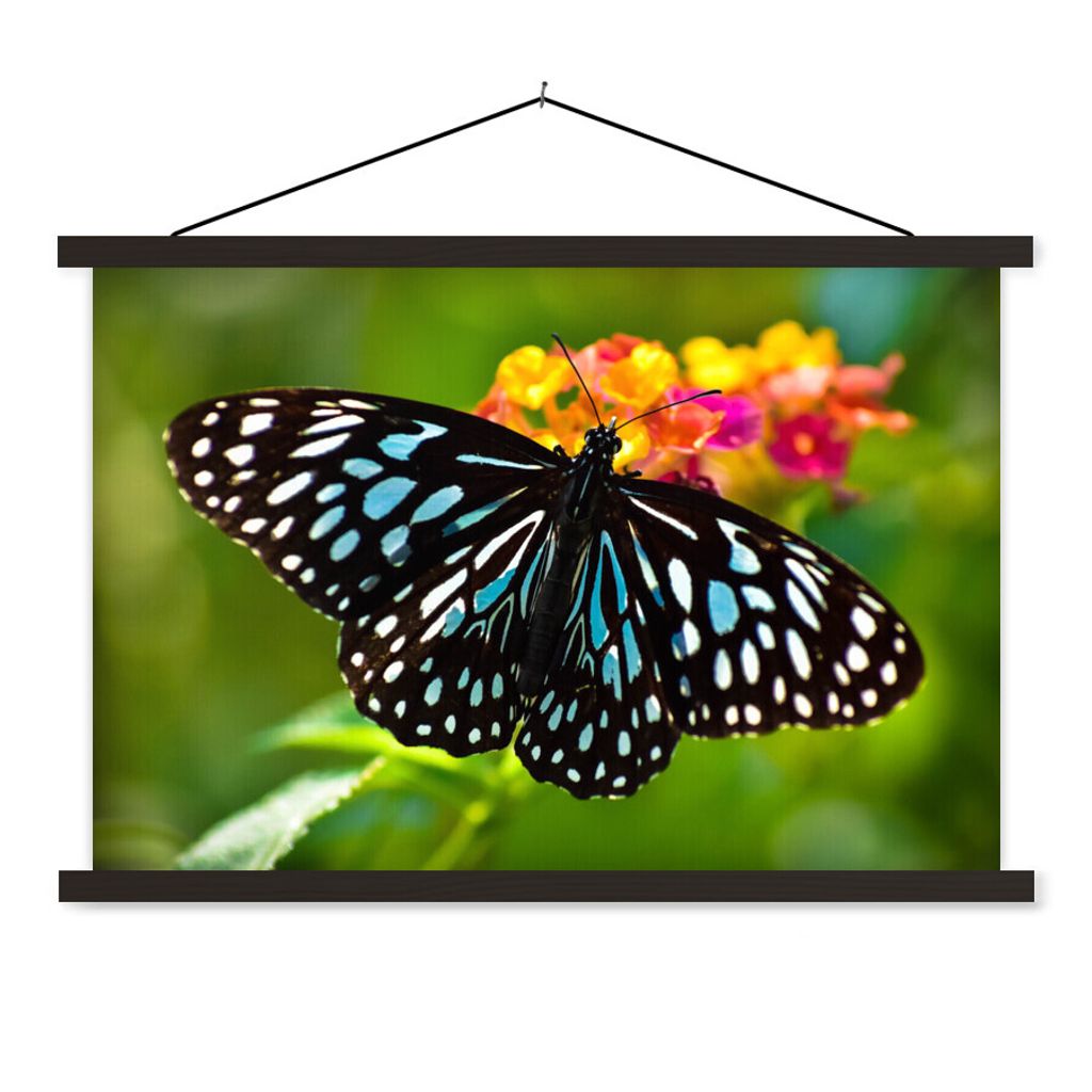 MuchoWow Textilposter Blauer Tigerfalter 150x100 cm mit schwarzem Rahmen - Schlafzimmer