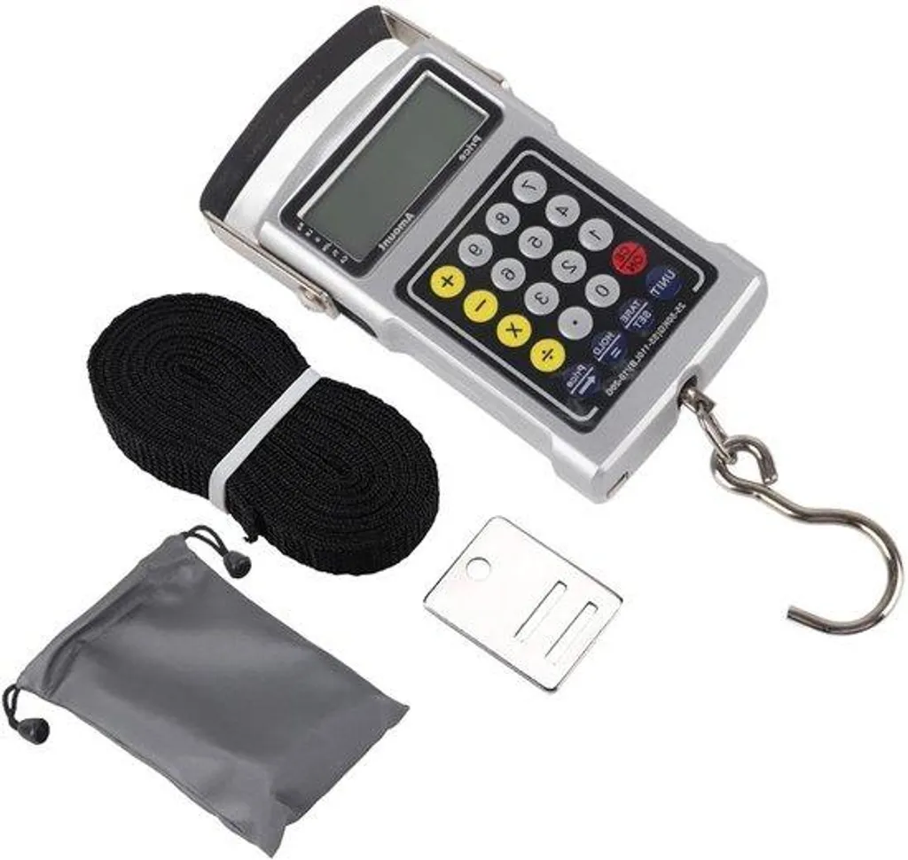 Peser vos poissons avec précision : balance LCD argent et thermomètre