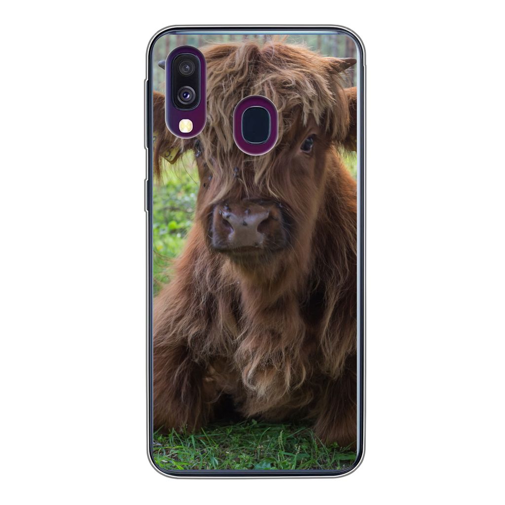 MuchoWow Handyhülle Schutzhülle Hülle für Samsung Galaxy A40 Schottischer Highlander - Kröte - Tiere Silikon Softcase Handy Hülle - Handy-T...