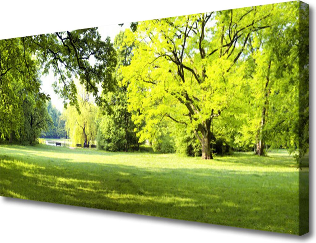 Tulup Leinwand-Bilder 100x50 Wandbild Canvas Kunstdruck Gras Bäume Natur